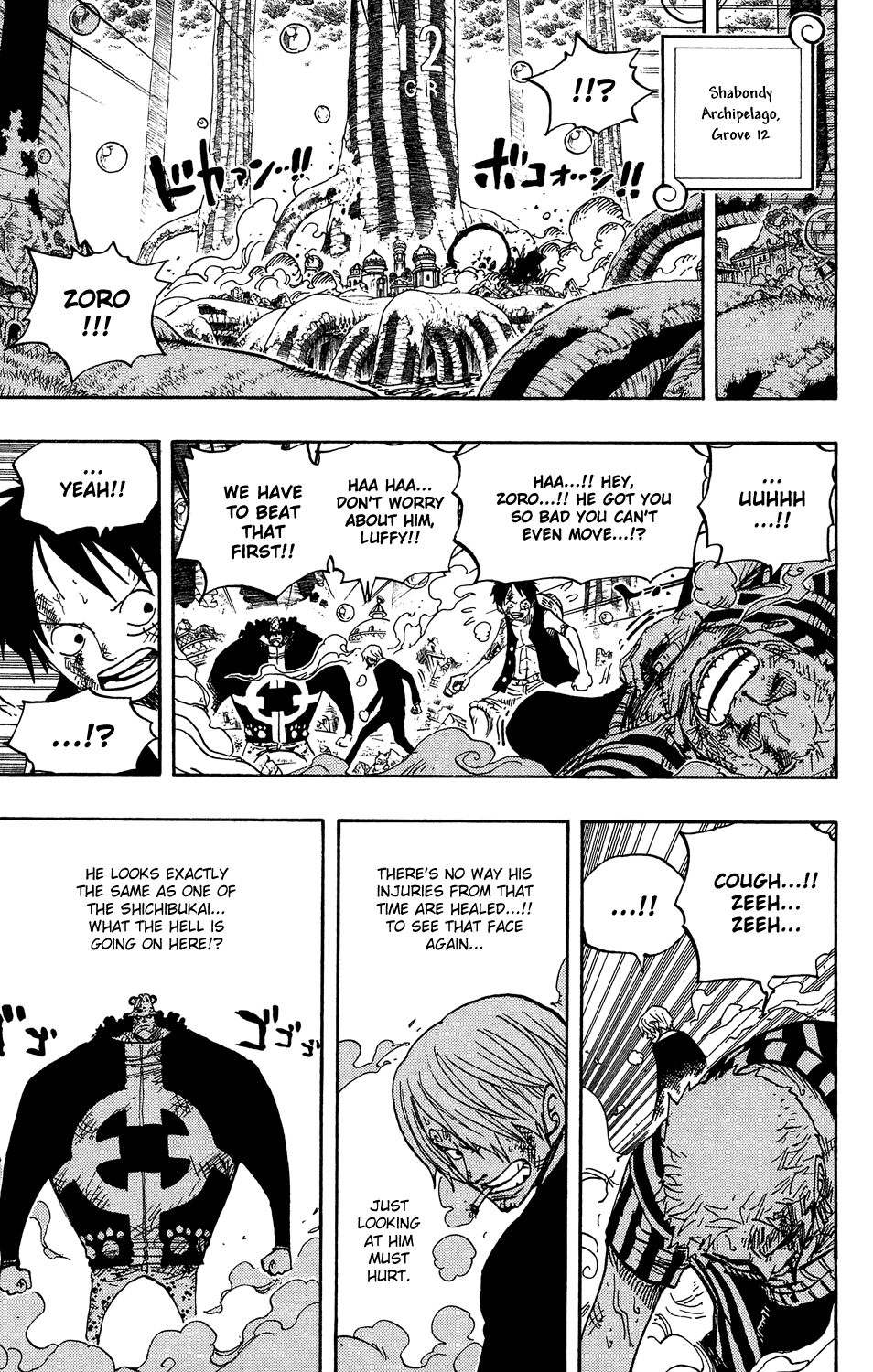 One Piece, Chapter 510 image 09